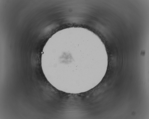 X0000094910918200712131449
