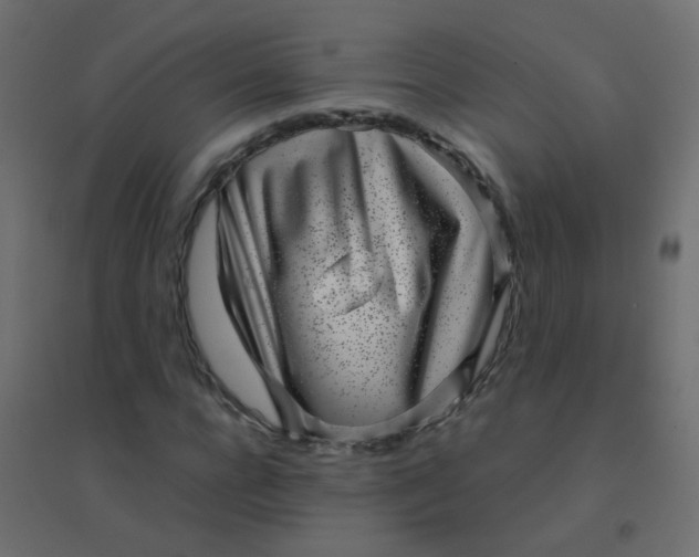 X0000094910920200712131449