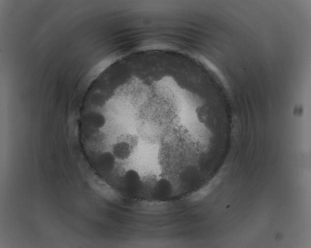 X0000094910921200712131449