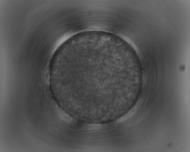 X0000094910925200712131449