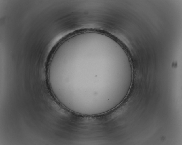 X0000094910927200712131449