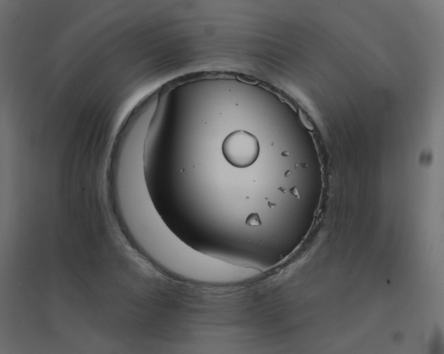 X0000094910928200712131449