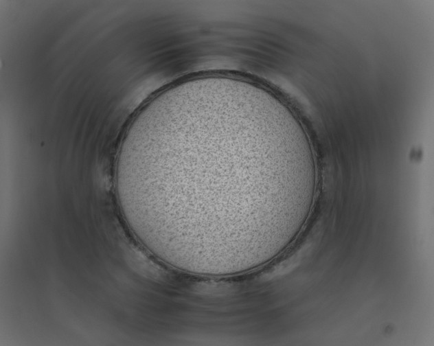 X0000094910929200712131449