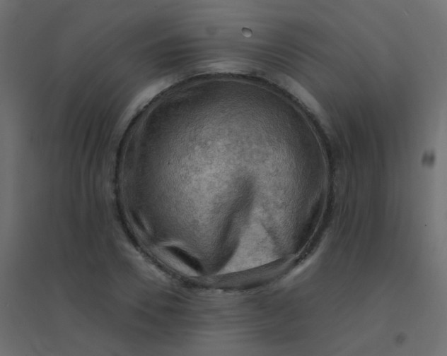 X0000094910930200712131450