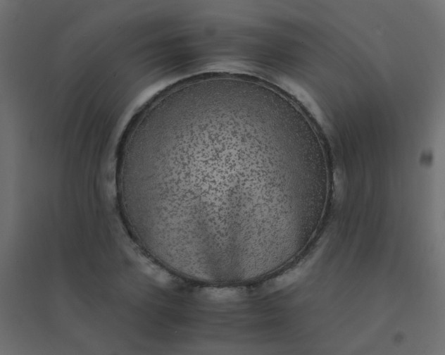 X0000094910931200712131450
