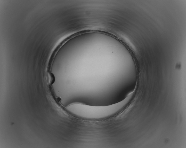 X0000094910932200712131450