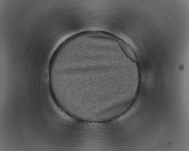 X0000094910934200712131450