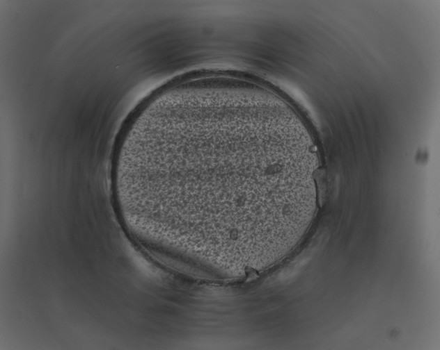 X0000094910935200712131450