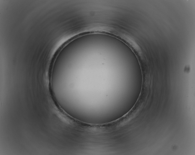 X0000094910936200712131450