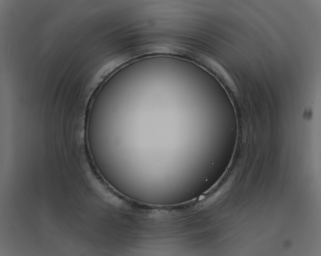 X0000094910938200712131450