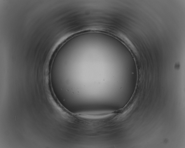 X0000094910939200712131450