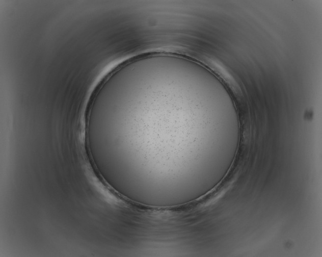 X0000094910940200712131450