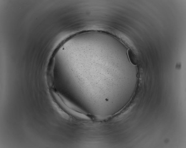 X0000094910942200712131450