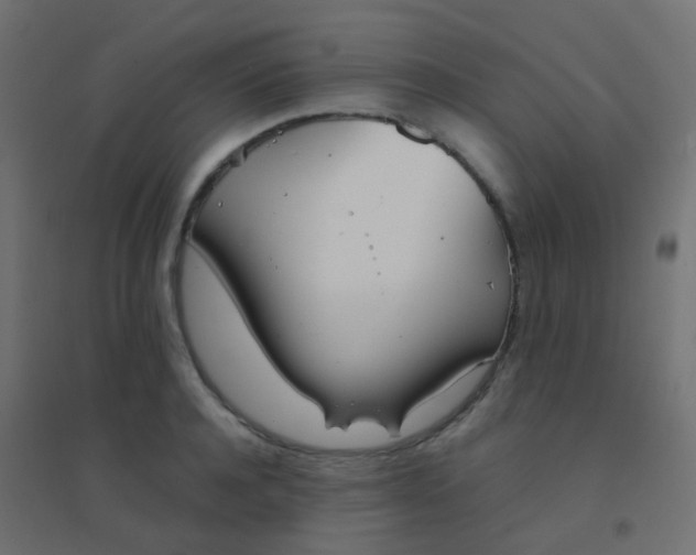 X0000094910944200712131450