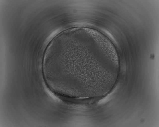 X0000094910946200712131450