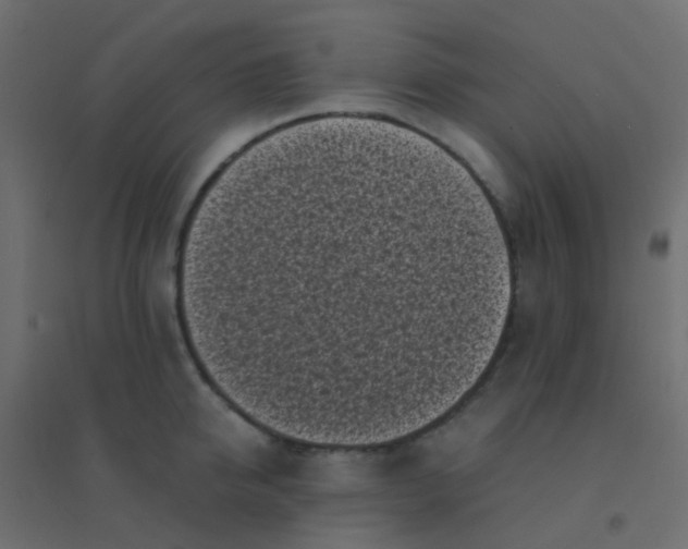 X0000094910950200712131450
