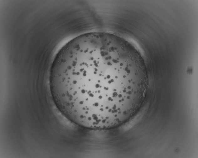 X0000094910952200712131450