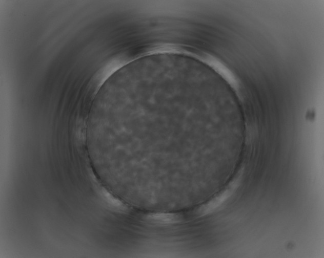 X0000094910953200712131450