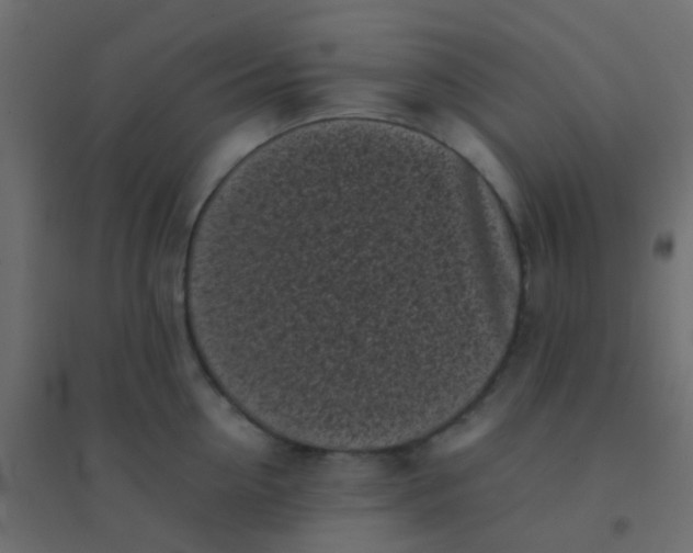 X0000094910954200712131450