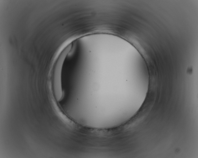 X0000094910955200712131450
