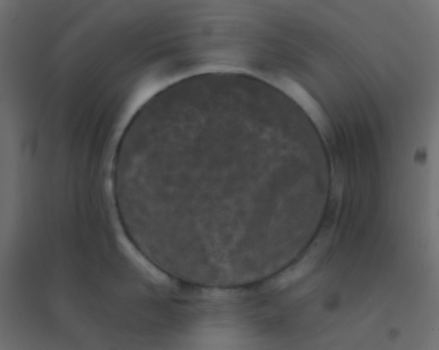 X0000094910958200712131450