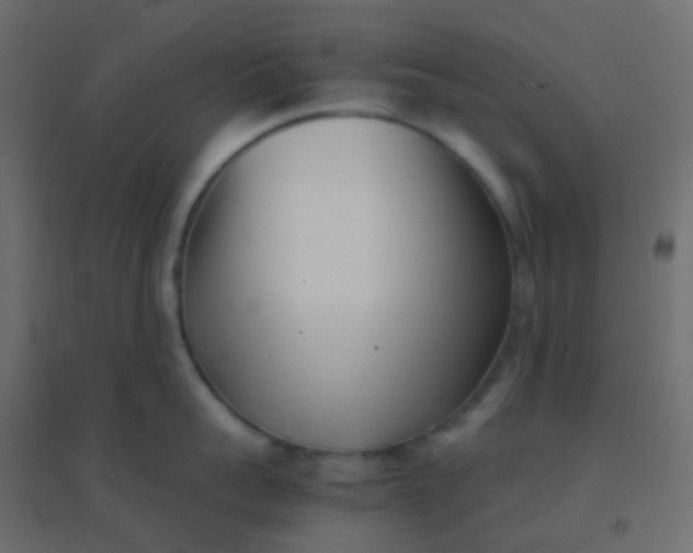 X0000094910959200712131450
