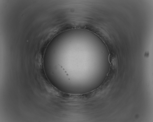 X0000094910963200712131449