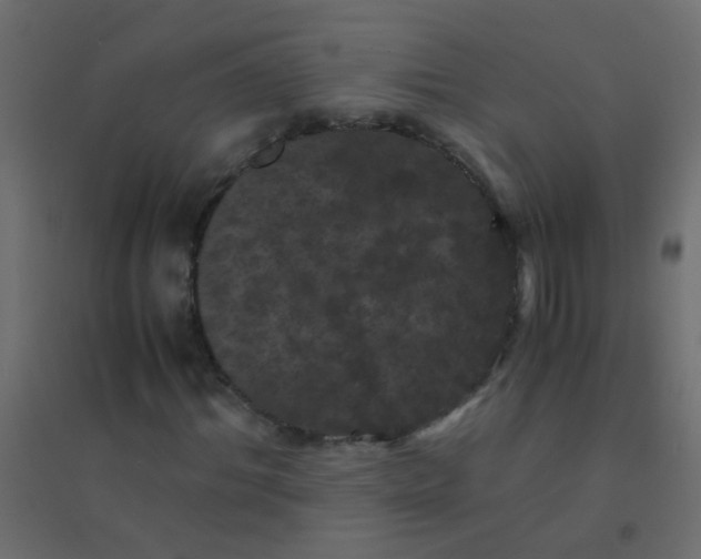 X0000094910964200712131449