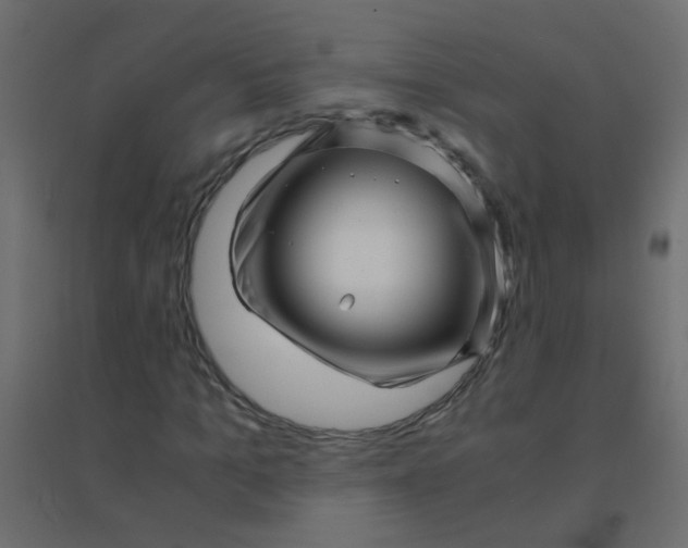 X0000094910965200712131449