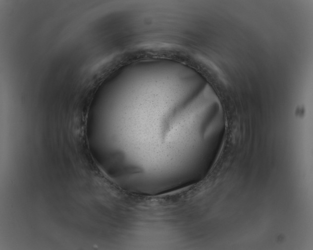 X0000094910966200712131449