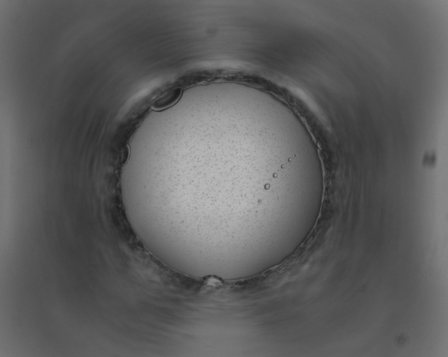 X0000094910967200712131449