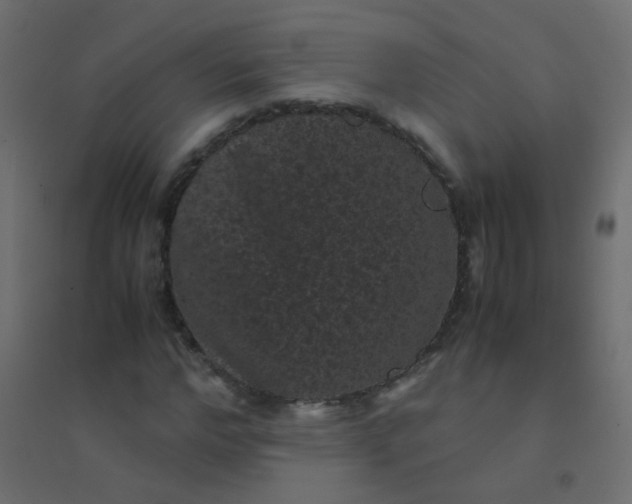 X0000094910968200712131449