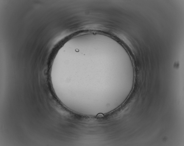 X0000094910971200712131449
