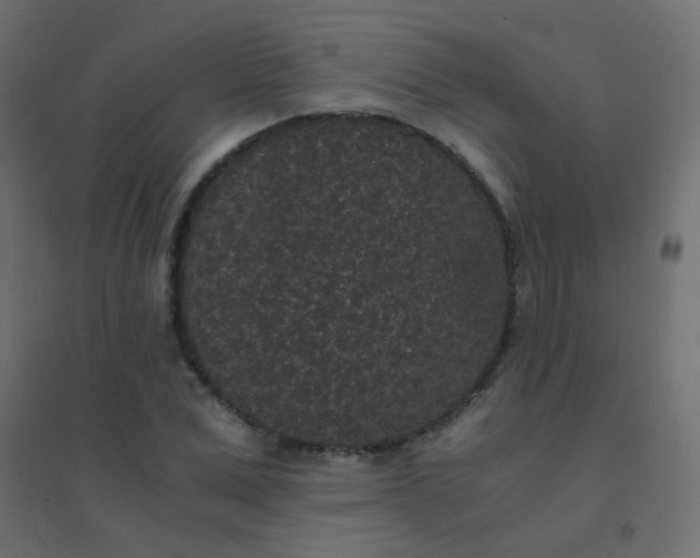 X0000094910975200712131449
