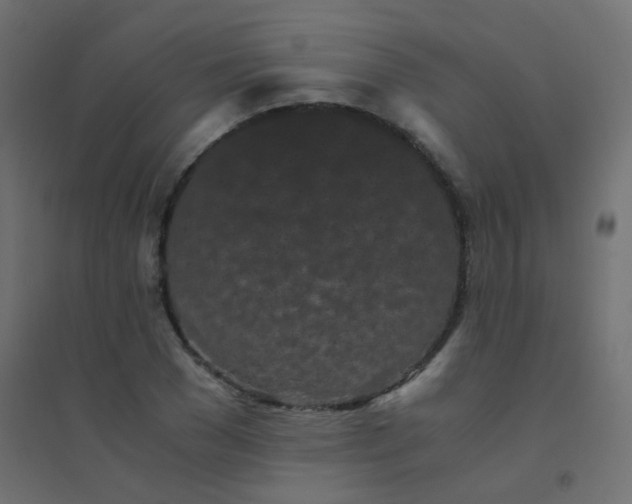 X0000094910977200712131449