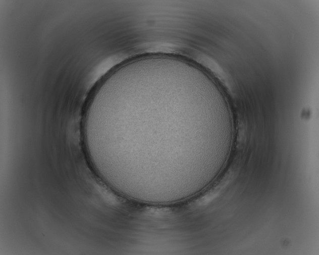 X0000094910978200712131449