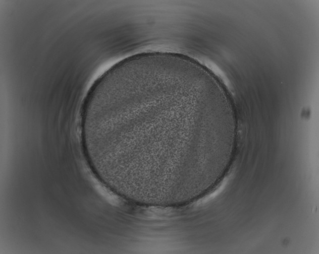 X0000094910981200712131449