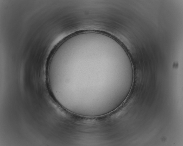 X0000094910982200712131449