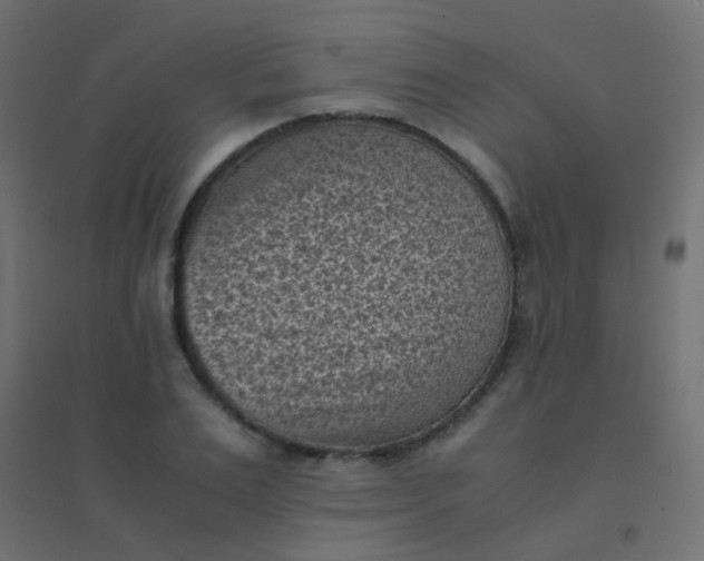 X0000094910983200712131449