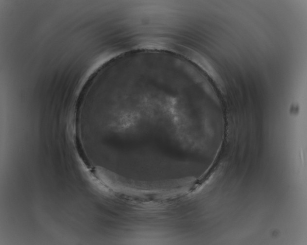 X0000094910984200712131449