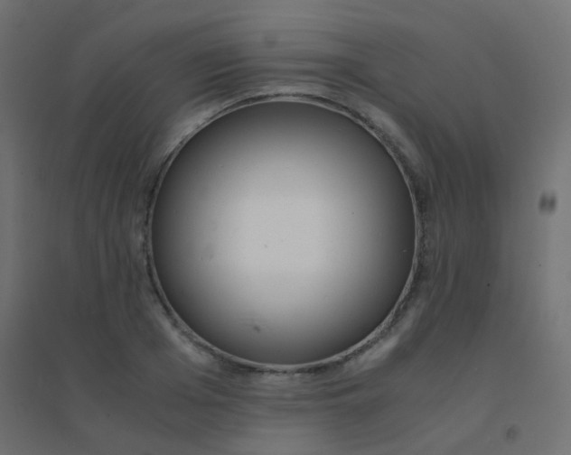 X0000094910985200712131449