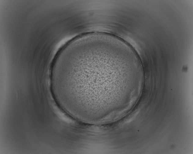 X0000094910987200712131449