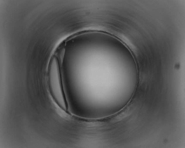 X0000094910988200712131449