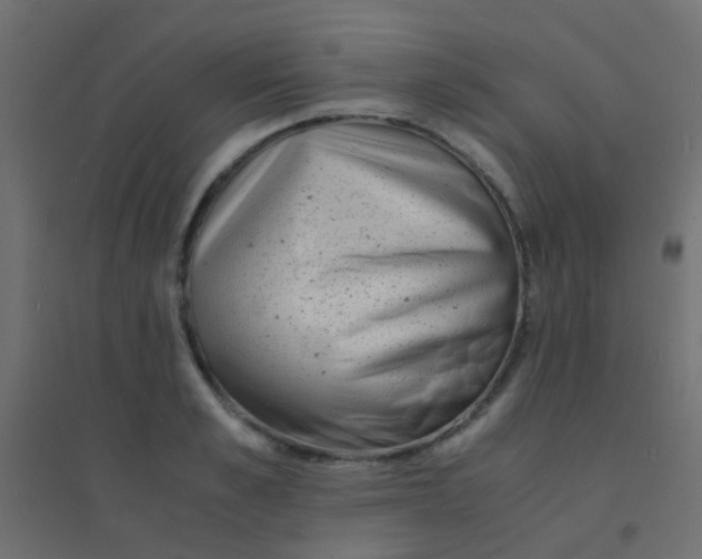 X0000094910989200712131449