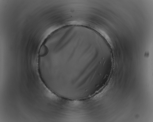 X0000094910992200712131449