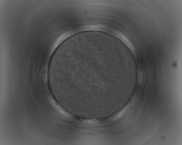 X0000094910994200712131448