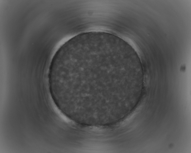 X0000094910995200712131448