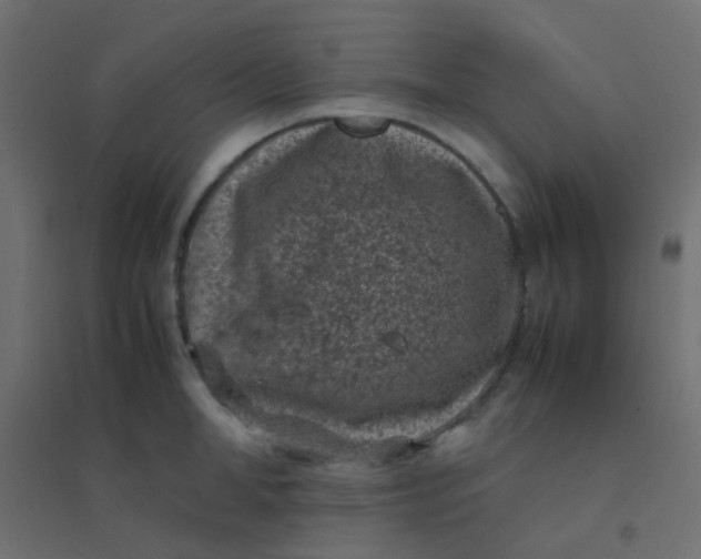 X0000094910998200712131448