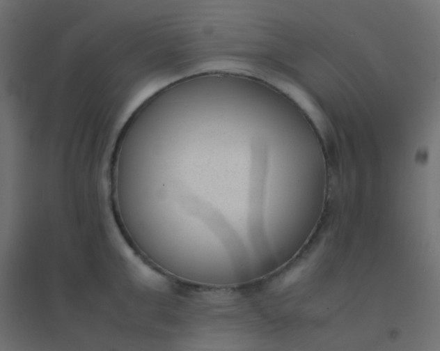 X0000094910999200712131448
