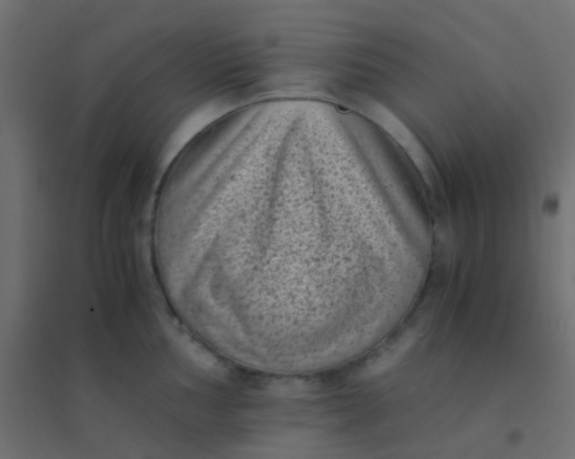 X0000094911002200712131448